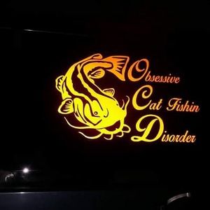 Meet your Posher, Steve